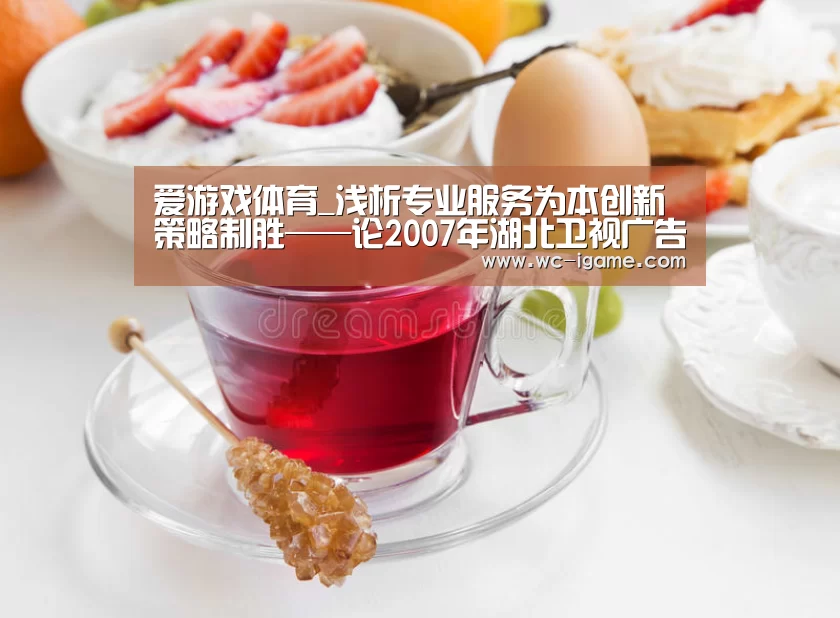 爱游戏体育_浅析专业服务为本创新策略制胜——论2007年湖北卫视广告赢利秘诀(图3) 爱游戏官网