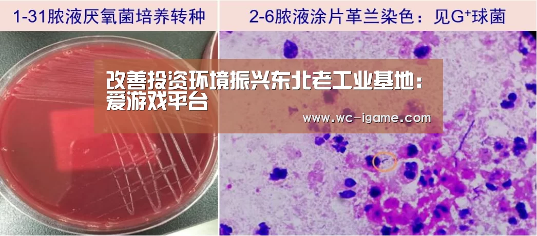 爱游戏官网