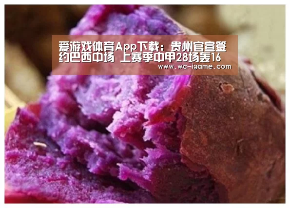 爱游戏官网
