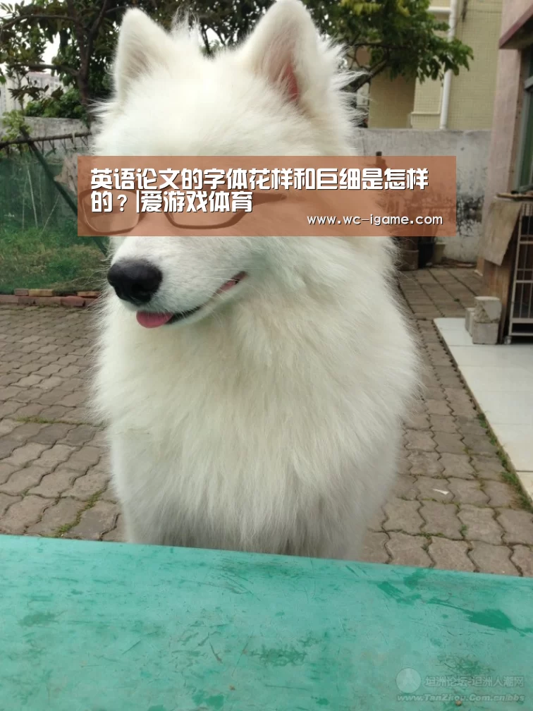 英语论文的字体花样和巨细是怎样的?|爱游戏体育(图2) 爱游戏体育App下载
