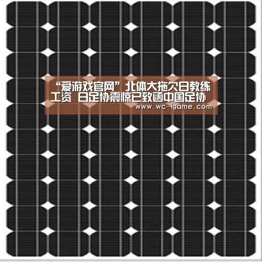 爱游戏官网