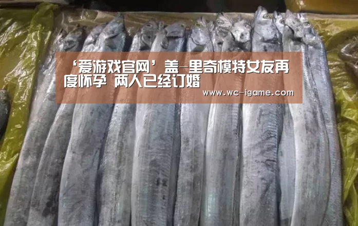 爱游戏官网