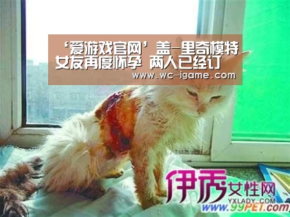 爱游戏体育