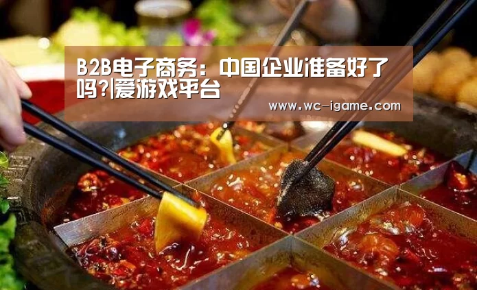 B2B电子商务:中国企业准备好了吗?|爱游戏平台(图1) 爱游戏体育