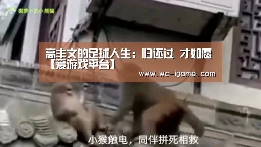 爱游戏平台
