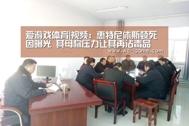 爱游戏体育|视频:惠特尼休斯顿死因曝光 其母称压力让其再沾毒品(图2) 爱游戏官网
