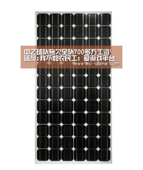 中乙球队拖欠全队700多万工资 球员:我不如农民工:爱游戏平台(图3) 爱游戏平台