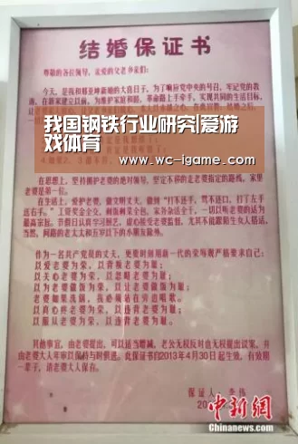 我国钢铁行业研究|爱游戏体育(图3) 爱游戏平台