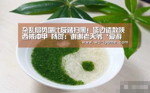 杂乱局势堪比反赌扫黑!延边遣散陕西被冲甲 杨贺:谢谢老天爷‘爱游戏官网’(图2) 爱游戏平台