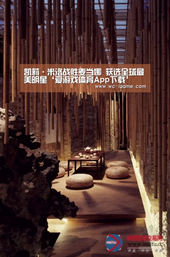 爱游戏官网