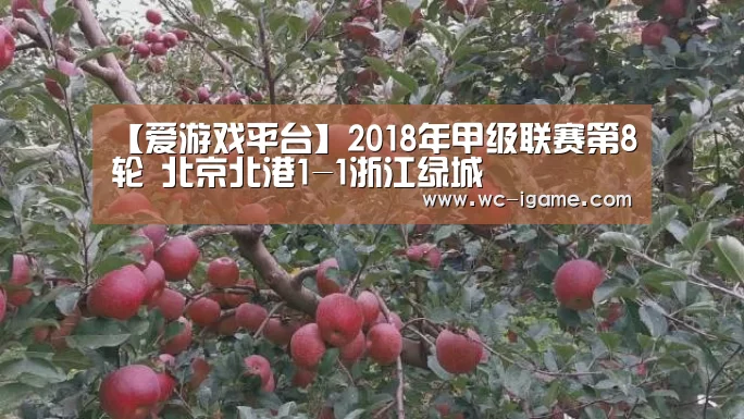 爱游戏体育App下载