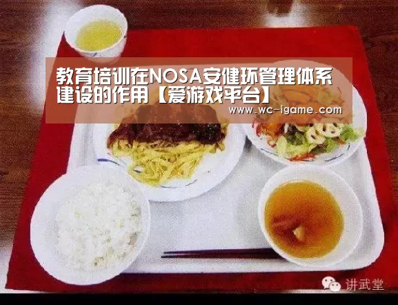 爱游戏官网