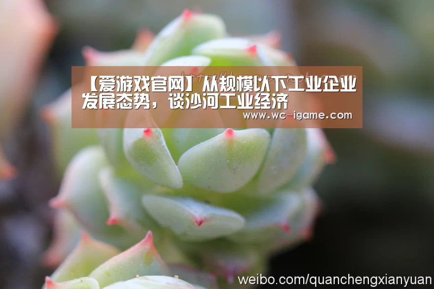 【爱游戏官网】从规模以下工业企业发展态势，谈沙河工业经济